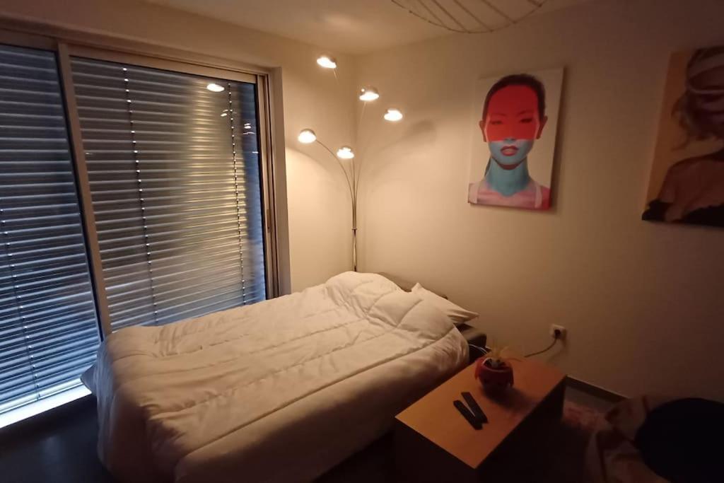 Centre En 15 Minutes Appartement Strasbourg